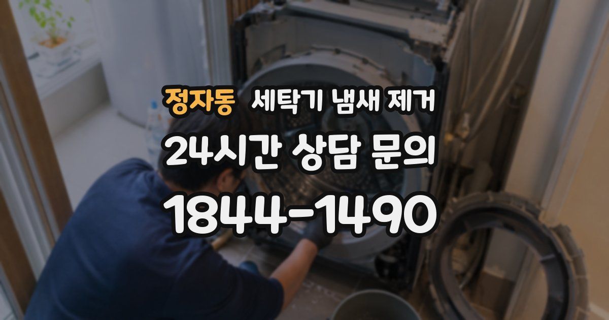 정자동 세탁기 냄새 제거