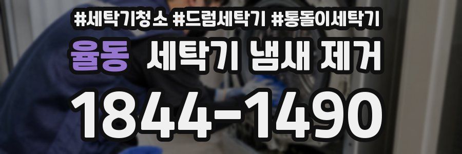 율동 세탁기 냄새 제거