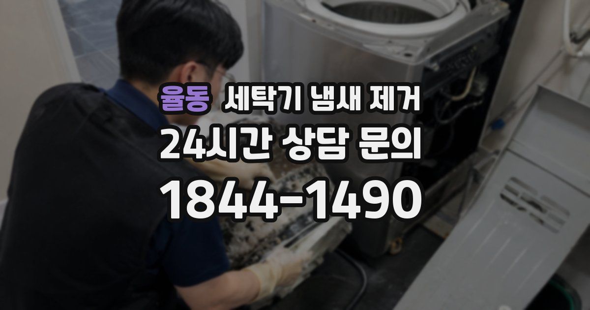 율동 세탁기 냄새 제거