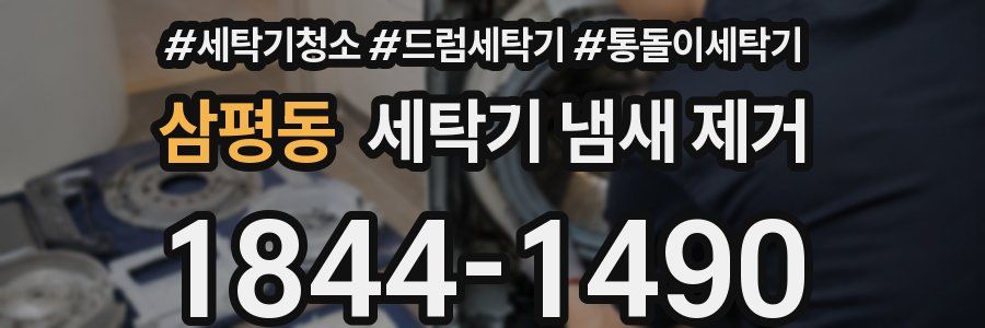 삼평동 세탁기 냄새 제거