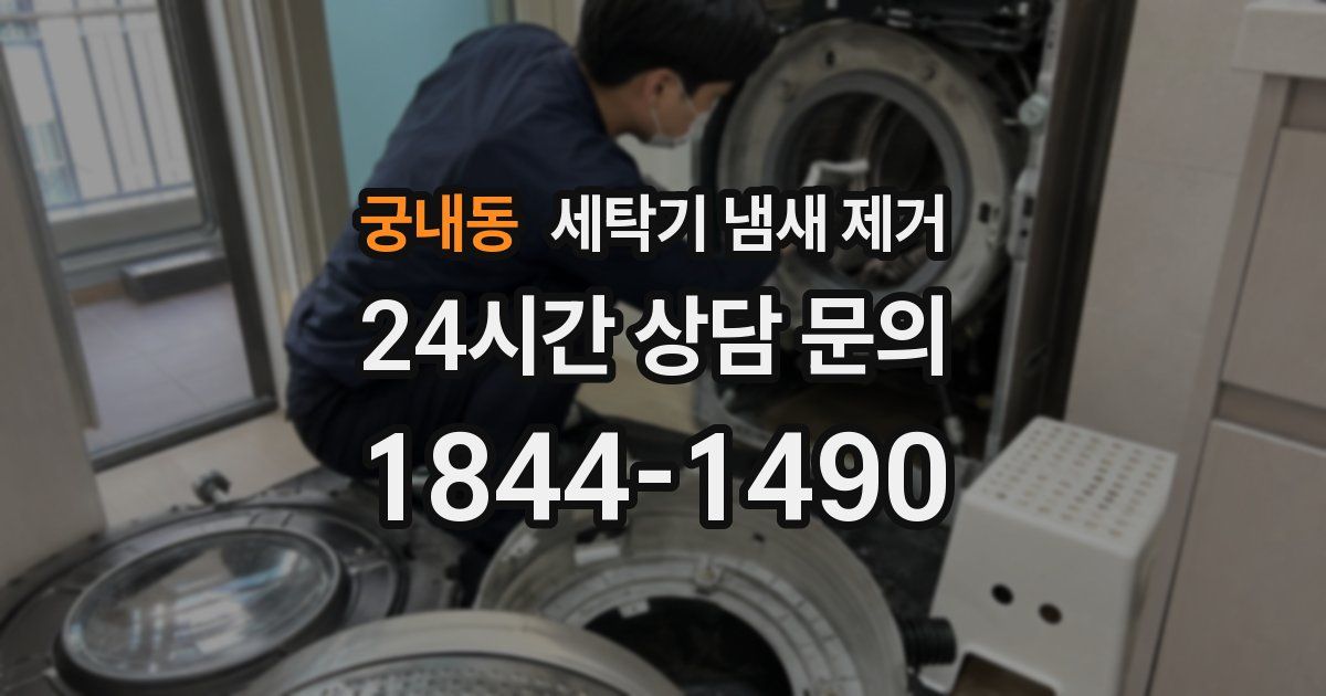 궁내동 세탁기 냄새 제거