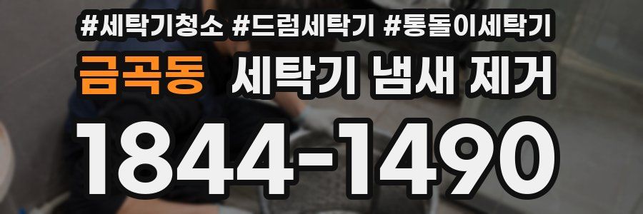 금곡동 세탁기 냄새 제거