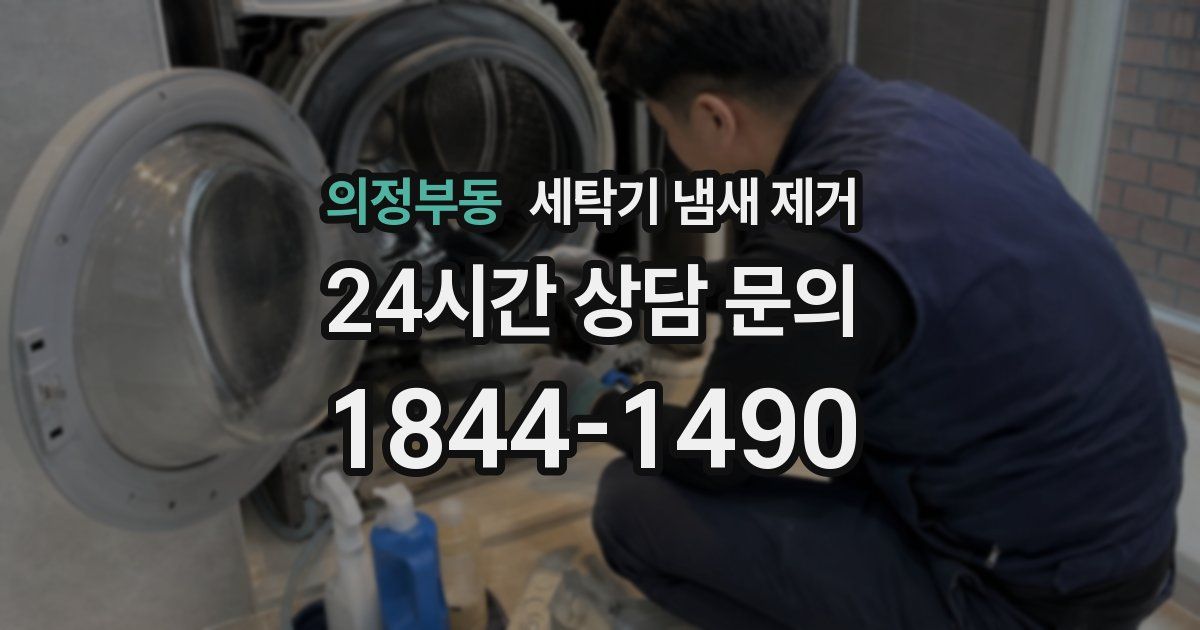 의정부동 세탁기 냄새 제거