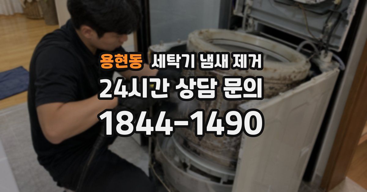 용현동 세탁기 냄새 제거