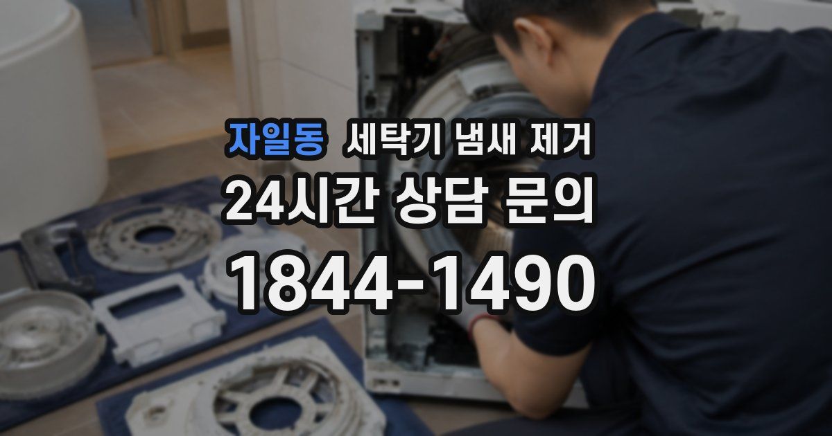 자일동 세탁기 냄새 제거