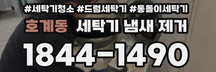 호계동 세탁기 냄새 제거