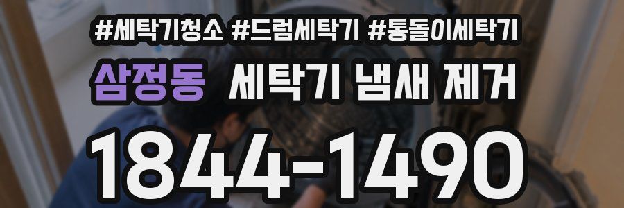 삼정동 세탁기 냄새 제거