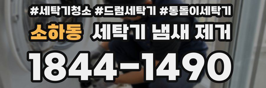 소하동 세탁기 냄새 제거