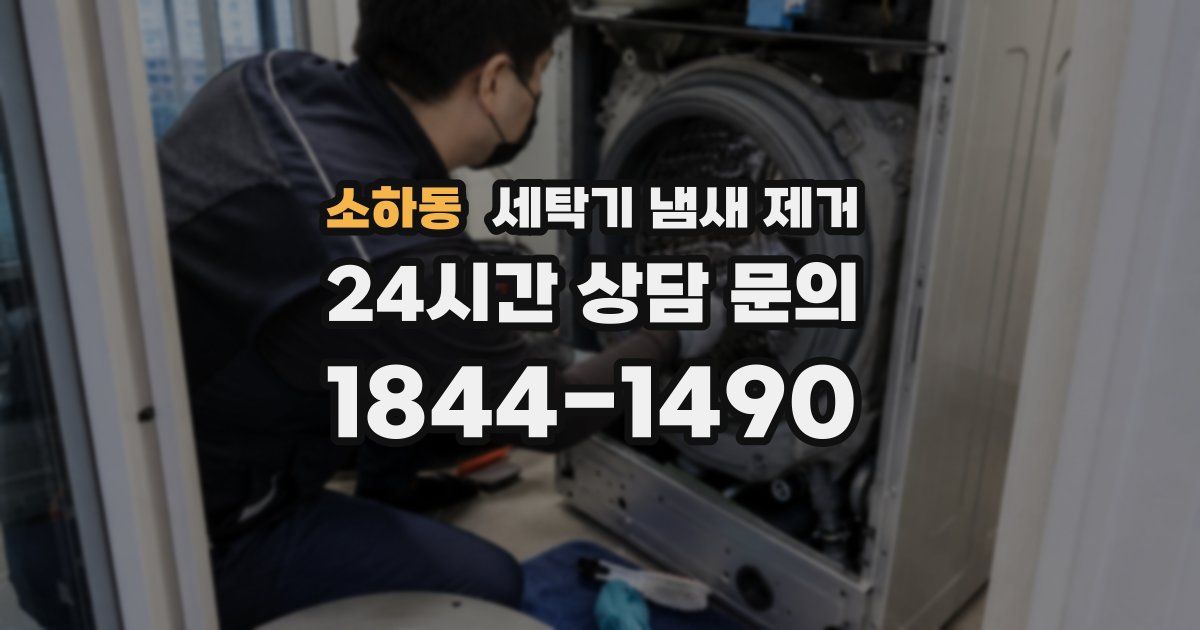 소하동 세탁기 냄새 제거