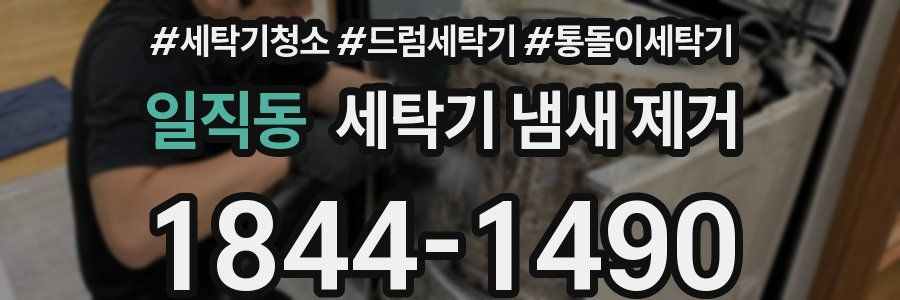 일직동 세탁기 냄새 제거