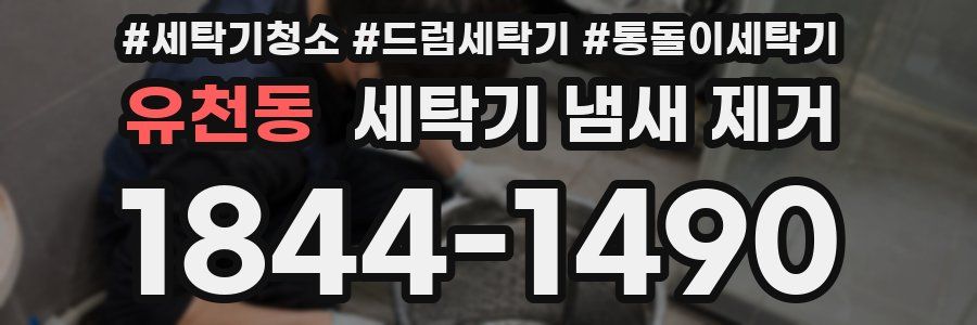 유천동 세탁기 냄새 제거
