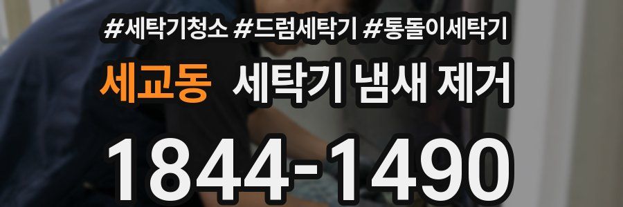 세교동 세탁기 냄새 제거