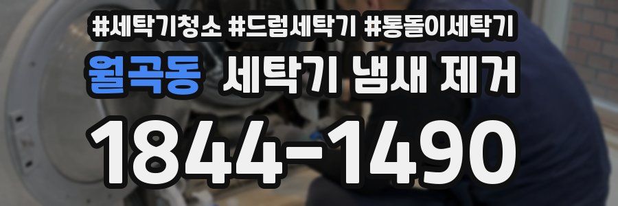 월곡동 세탁기 냄새 제거