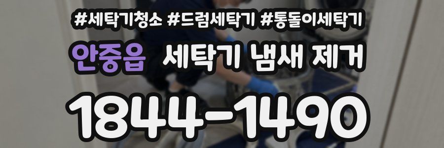 안중읍 세탁기 냄새 제거