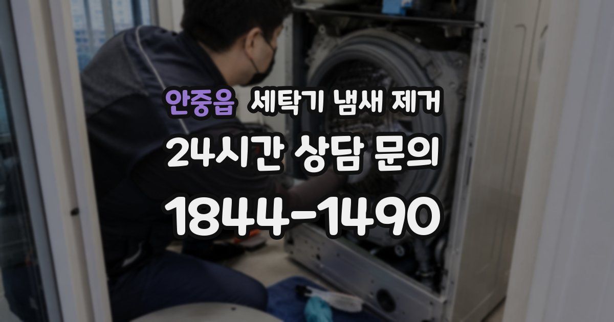 안중읍 세탁기 냄새 제거