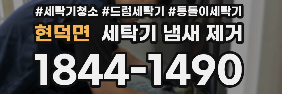 현덕면 세탁기 냄새 제거