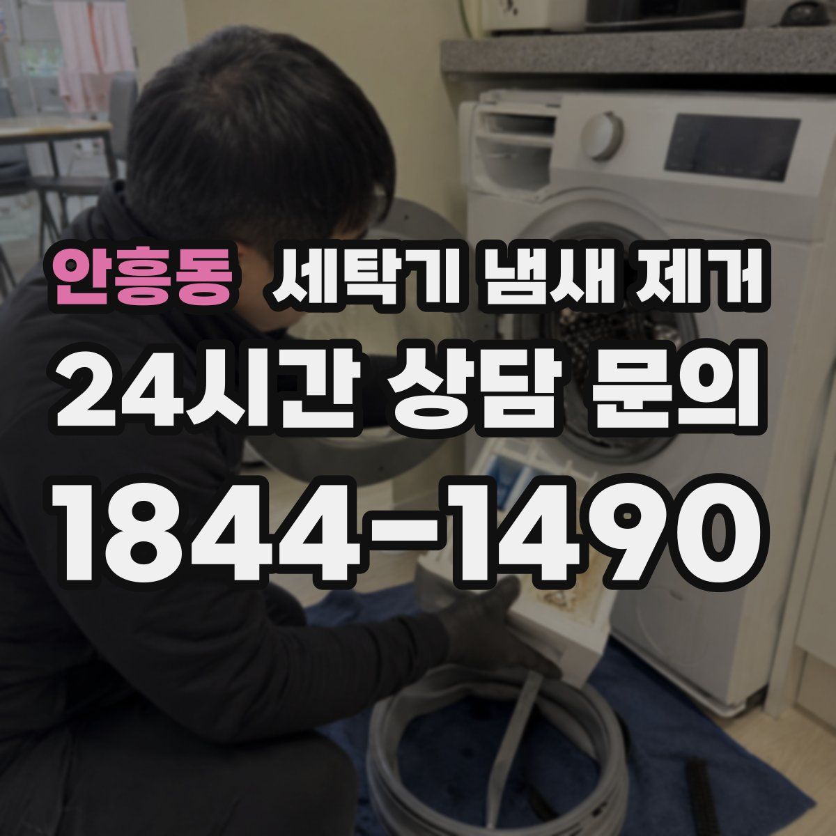 안흥동 세탁기 냄새 제거
