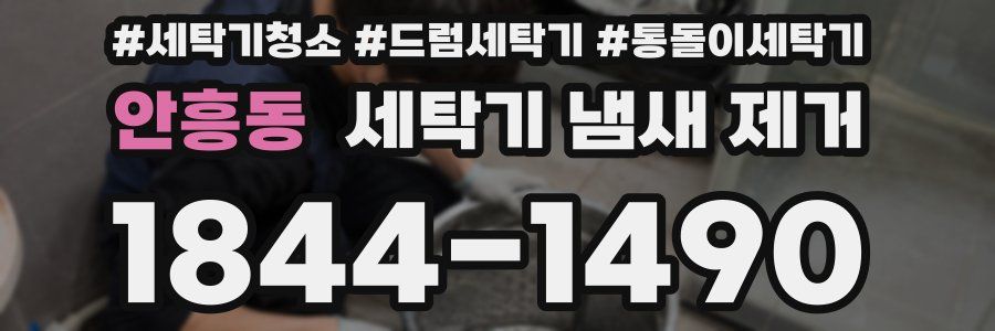 안흥동 세탁기 냄새 제거
