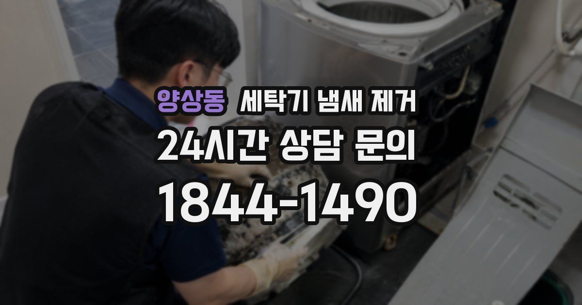 양상동 세탁기 냄새 제거