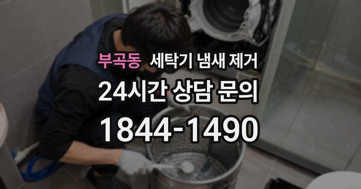 부곡동 세탁기 냄새 제거