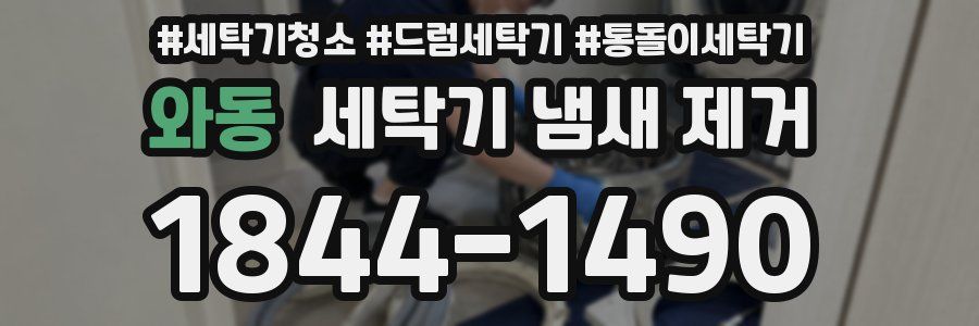 와동 세탁기 냄새 제거