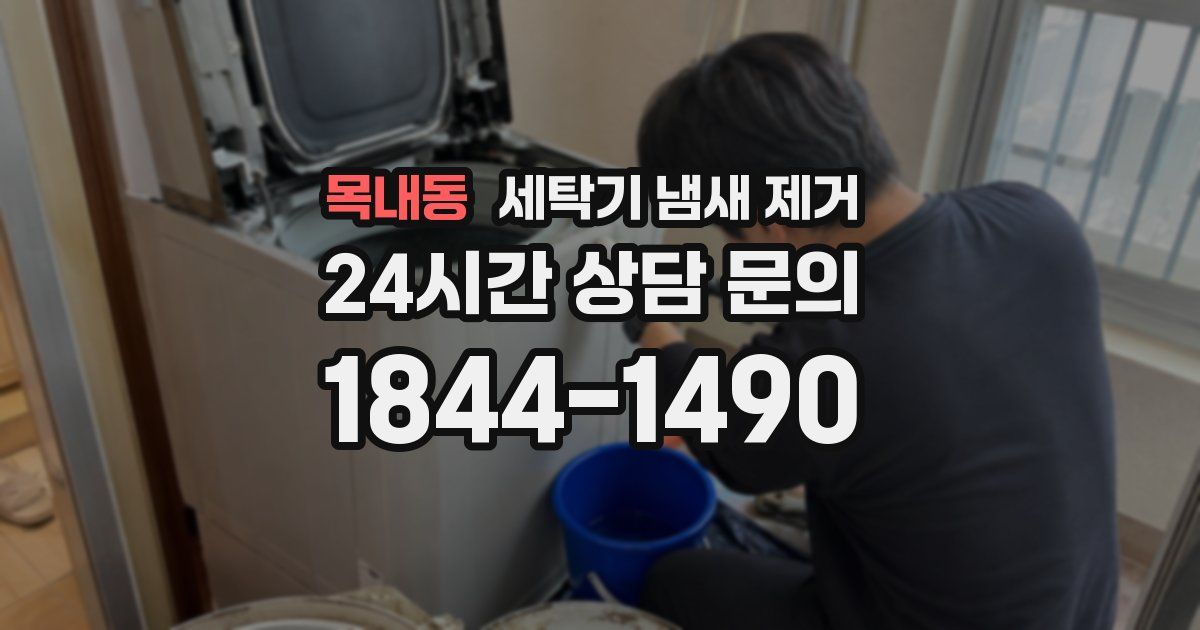목내동 세탁기 냄새 제거