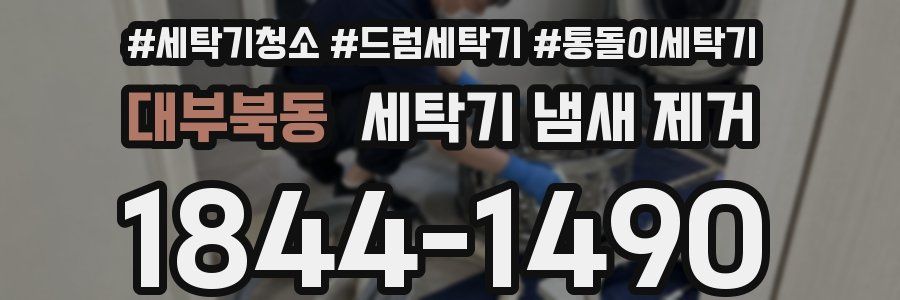 대부북동 세탁기 냄새 제거