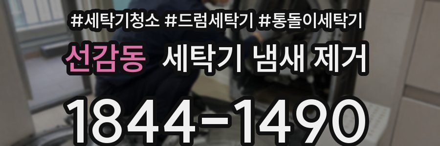 선감동 세탁기 냄새 제거