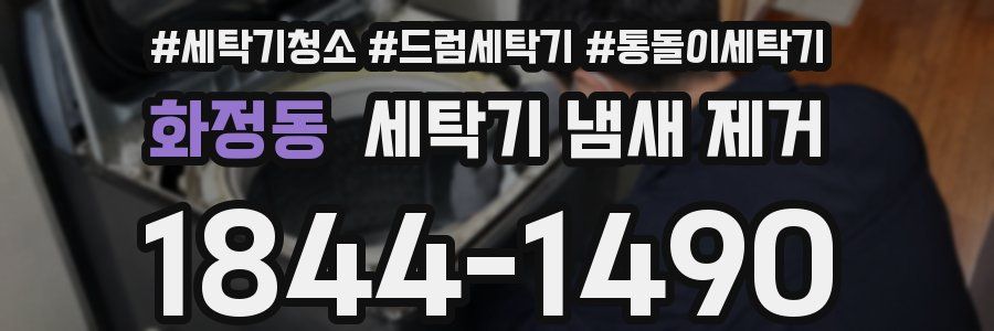 화정동 세탁기 냄새 제거