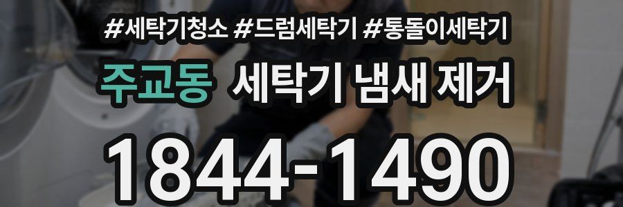 주교동 세탁기 냄새 제거