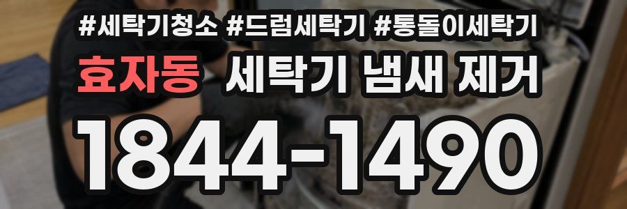 효자동 세탁기 냄새 제거