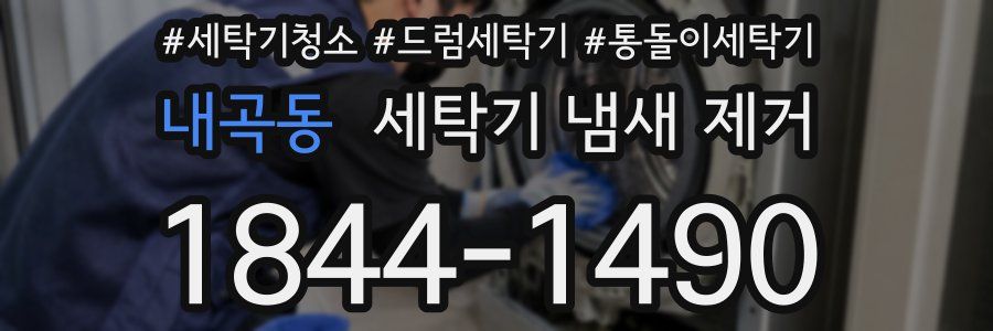 내곡동 세탁기 냄새 제거