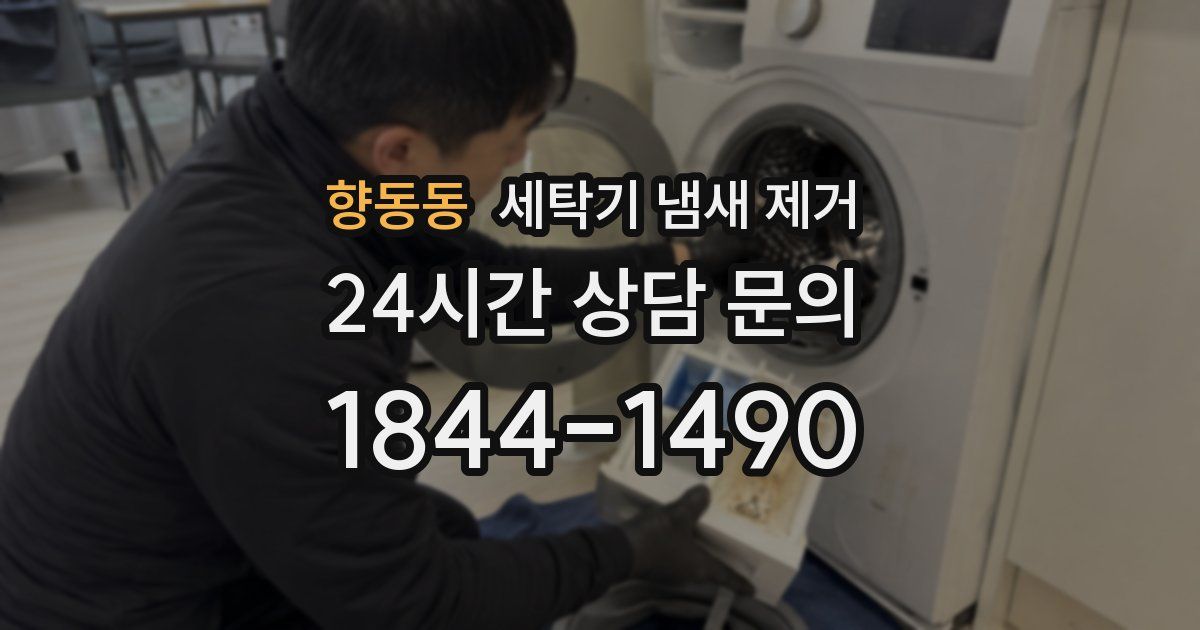 향동동 세탁기 냄새 제거