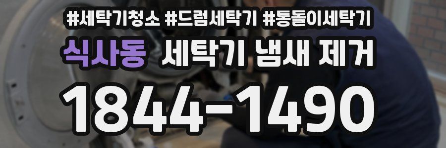 식사동 세탁기 냄새 제거
