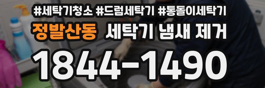 정발산동 세탁기 냄새 제거