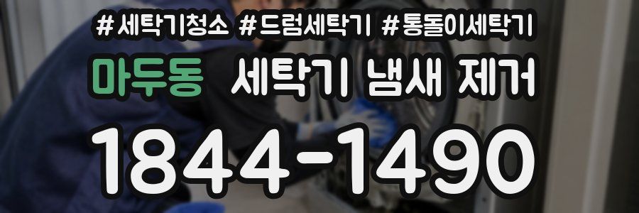 마두동 세탁기 냄새 제거