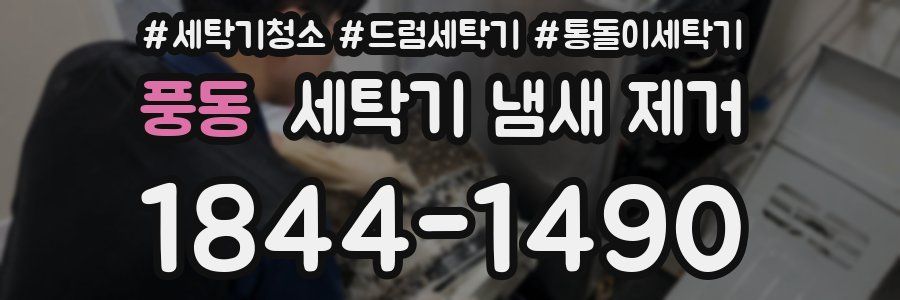 풍동 세탁기 냄새 제거