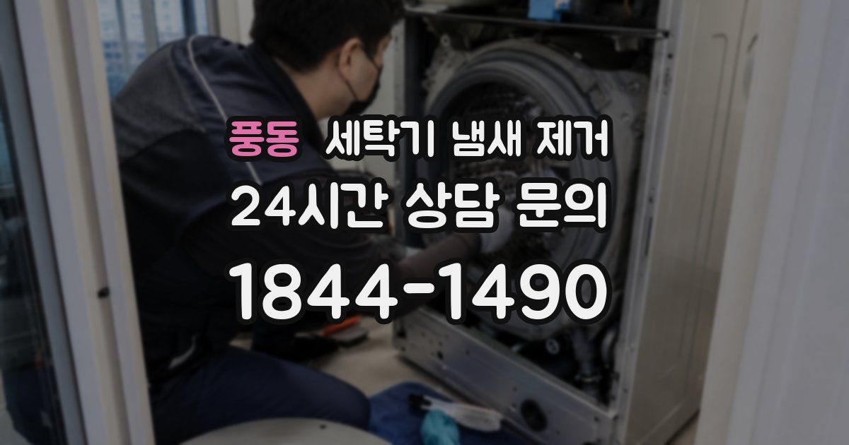 풍동 세탁기 냄새 제거