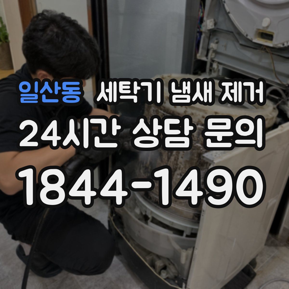 일산동 세탁기 냄새 제거