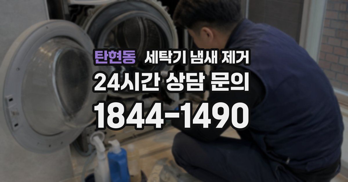 탄현동 세탁기 냄새 제거