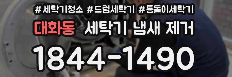 대화동 세탁기 냄새 제거