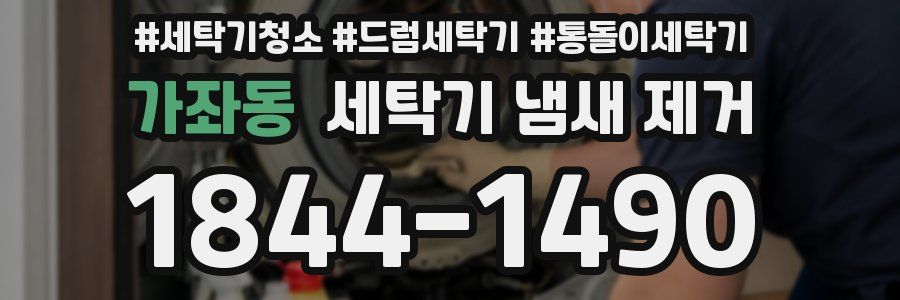 가좌동 세탁기 냄새 제거