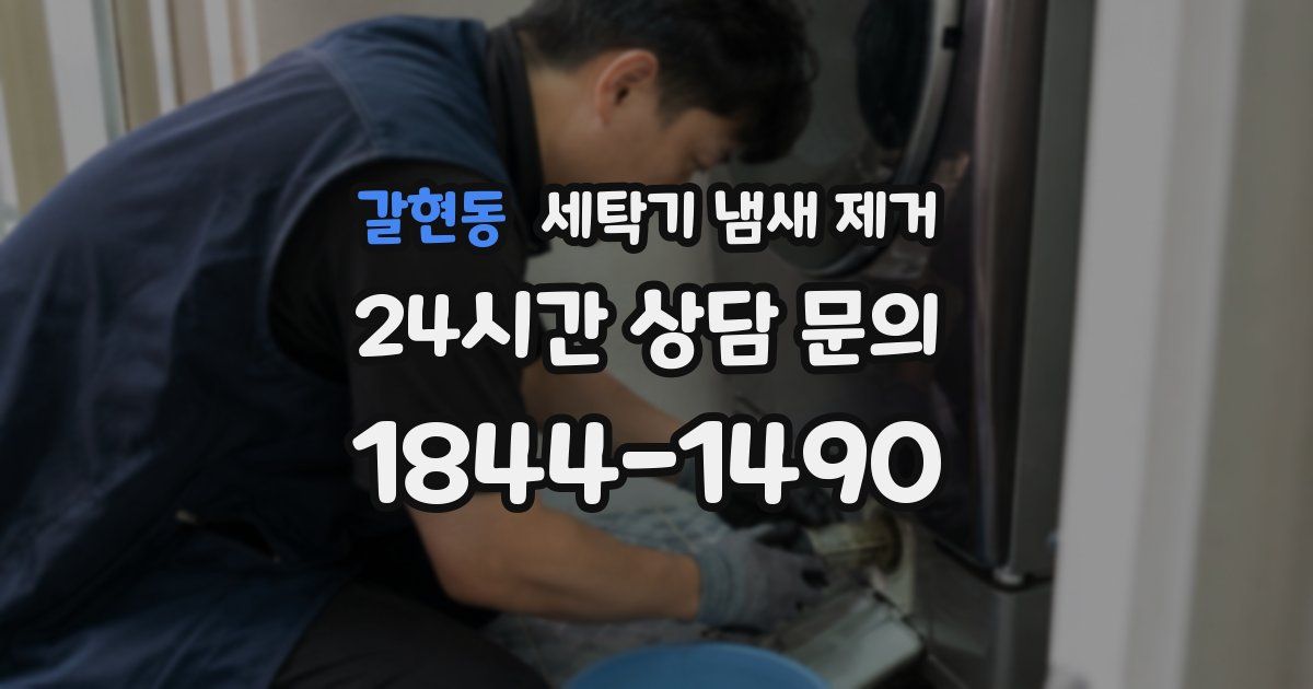 갈현동 세탁기 냄새 제거