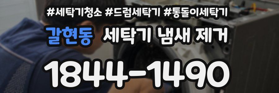 갈현동 세탁기 냄새 제거
