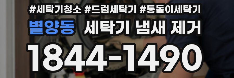 별양동 세탁기 냄새 제거