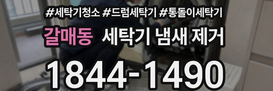 갈매동 세탁기 냄새 제거