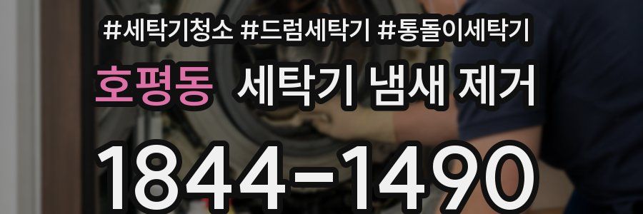 호평동 세탁기 냄새 제거