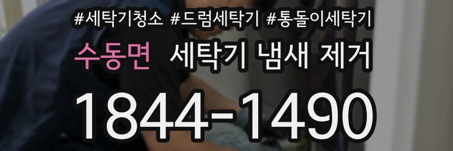 수동면 세탁기 냄새 제거