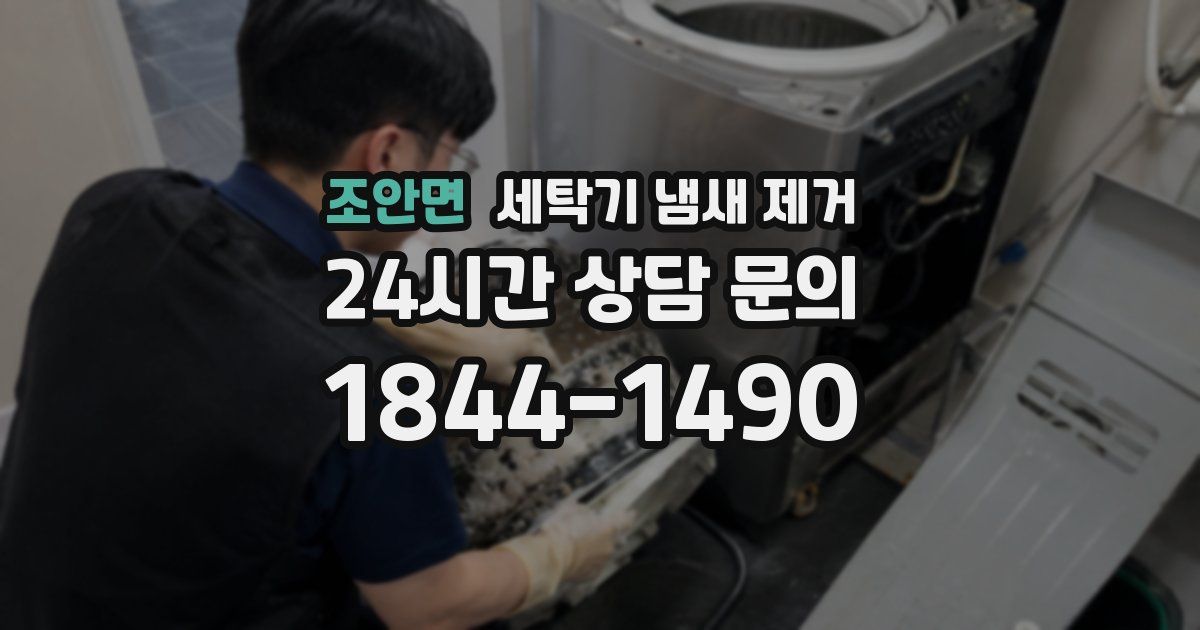 조안면 세탁기 냄새 제거