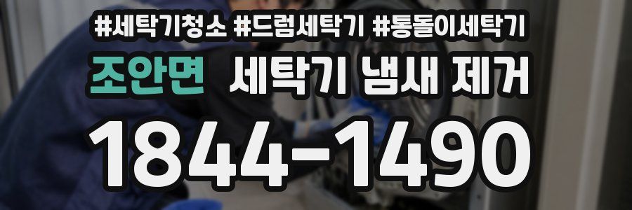 조안면 세탁기 냄새 제거